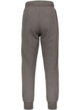 Spodnie sportowe PIT BULL SMALL LOGO HD taupe