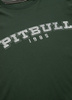 T-shirt BORN IN 1989 (middle weight 170) zielony