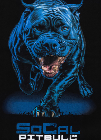 Bluza PIT BULL IN BLUE  czarna kaptur