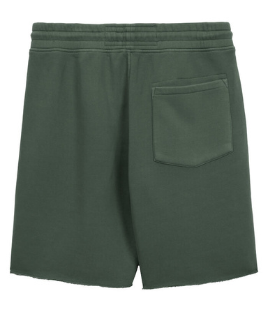 Spodenki PIT BUL LANCASTER 2 sage green