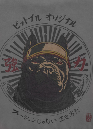 Bluza PIT BULL WASHED MT FUJI washed grey prosta