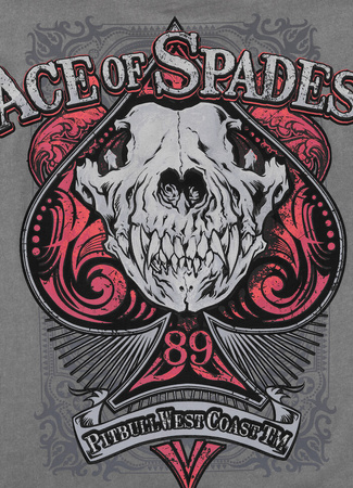 T-shirt PIT BULL Denim Washed T-SHIRT ACE OF SPADES 2 szary