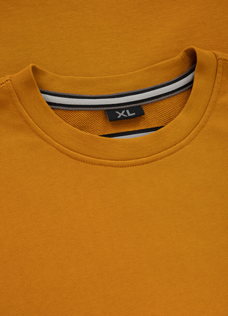 Bluza PIT BULL SMALL LOGO TERRY musztardowa prosta