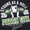 Bluza PRETORIAN STRONG AS A BULL czarna kaptur