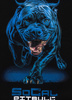 Bluza PIT BULL IN BLUE  czarna kaptur