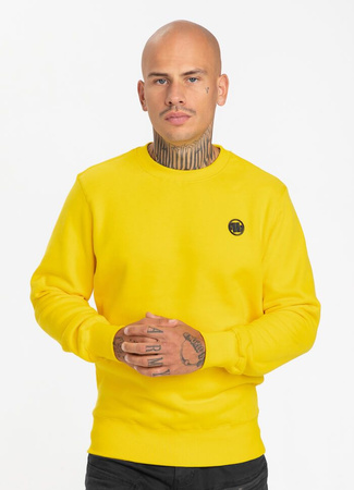 Bluza PIT BULL SMALL LOGO 21 żółta prosta