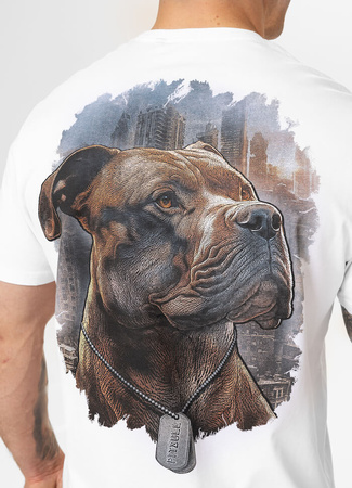 T-shirt PIT BULL HERO biały