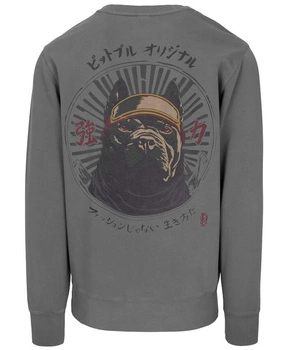 Bluza PIT BULL WASHED MT FUJI washed grey prosta