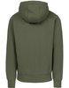 Bluza PIT BULL SMALL LOGO oliwkowa (olive) kaptur
