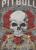 Bluza PIT BULL Washed SANTA MUERTE major olive prosta