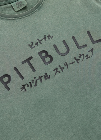 T-shirt PIT BULL Denim Washed MT.FUJI sage green