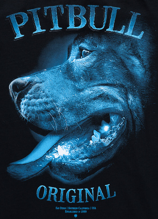 T-shirt damski PIT BULL MIDNIGHT WMN czarny