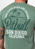 T-shirt PIT BULL SAN DIEGO BORN miętowy (mint)