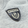 Bluza PRETORIAN SHIELD LOGO prosta szara