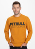 Bluza PIT BULL TNT 21 musztardowa prosta