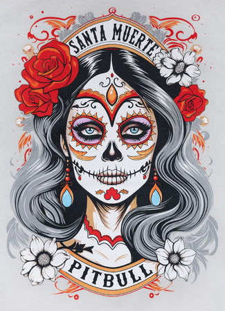 Damska bluza PIT BULL Washed LOVIA SANTA MUERTE WMN white stone rozpinana