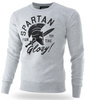 Bluza DOBERMANS SPARTAN BC289 szara prosta