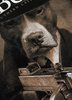 T-shirt PIT BULL TOMMY GUN czarny