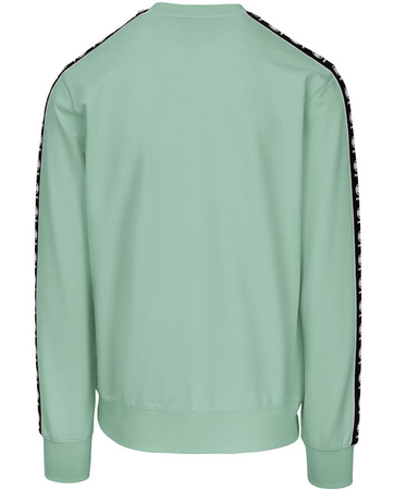 Bluza PIT BULL Tricot Terry TAPE NUGGET miętowa (light mint) prosta