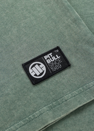 T-shirt PIT BULL Denim Washed MT.FUJI sage green