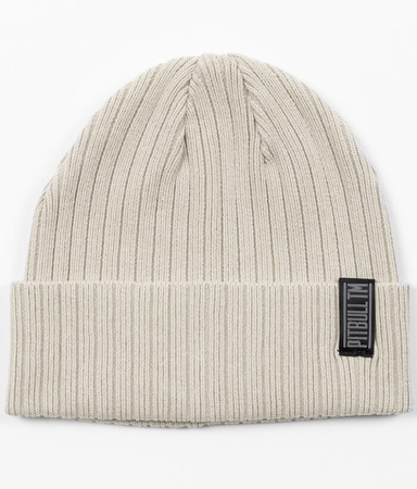 Czapka zimowa PIT BULL SILVAS TM white stone