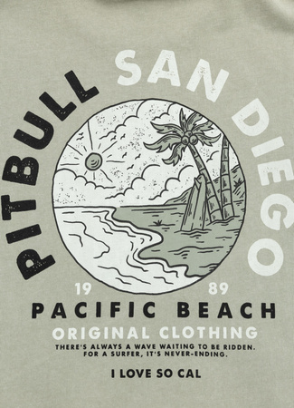 T-shirt PIT BULL Denim Washed PLANET SURF dusty salvia