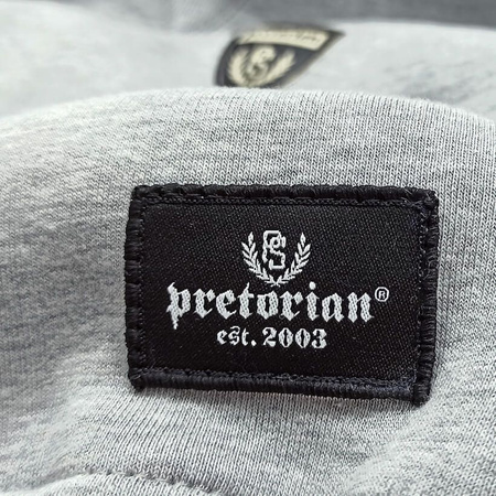 Bluza PRETORIAN SHIELD LOGO prosta szara