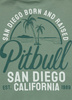 T-shirt PIT BULL SAN DIEGO BORN miętowy (mint)