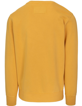 Bluza PIT BULL WASHED LANCASTER 2 yellow prosta