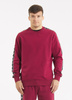 Bluza PIT BULL Tricot Terry TAPE NUGGET bordowa prosta
