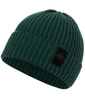 Czapka zimowa PIT BULL VELCRO LOGO zielona (green)