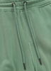 Spodenki PIT BUL LANCASTER 2 washed green