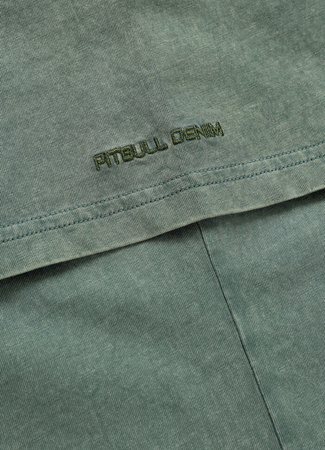 T-shirt PIT BULL Denim Washed MT.FUJI sage green