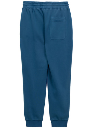 Spodnie sportowe PIT BULL WASHED LANCASTER 2 shade blue