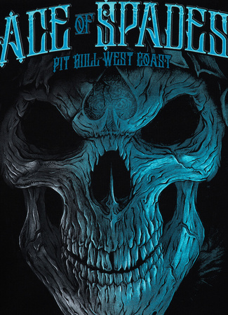 Bluza PIT BULL BLUE SKULL czarna kaptur