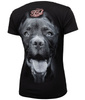 T-shirt damski PIT BULL IR WMN czarny