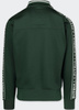 Bluza PIT BULL OLDSCHOOL TAPE LOGO TERRY bottle green stójka