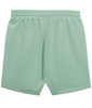 Spodenki PIT BULL Tricot Terry TAPE NUGGET miętowe (light mint)