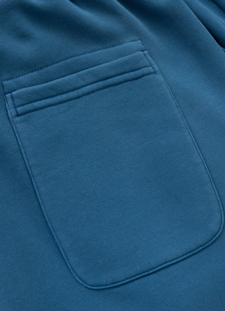 Spodenki PIT BUL LANCASTER 2 shade blue