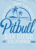 T-shirt PIT BULL SAN DIEGO BORN błękitny (light blue)