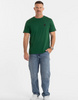 T-shirt PIT BULL SMALL LOGO 25  grassy green