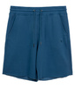 Spodenki PIT BUL LANCASTER 2 shade blue