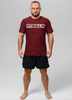 T-shirt PIT BULL HILLTOP CASUAL SPORT bordowy (burgundy melange)