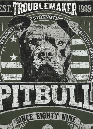 T-shirt PIT BULL TROUBLEMAKER old green