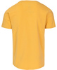 T-shirt PIT BULL SAN DIEGO CA SMALL LOGO żółty (pale yellow)