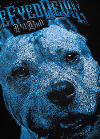 Bluza PIT BULL I AM BLUE czarna prosta