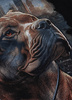 Bluza PIT BULL HERO czarna kaptur