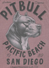 T-shirt PIT BULL Denim Washed RAW EDGE PACIFIC dusty burgundy