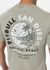 T-shirt PIT BULL Denim Washed PLANET SURF dusty salvia