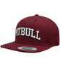 Czapka PIT BULL SNAPBACK PITBULL YP bordowa